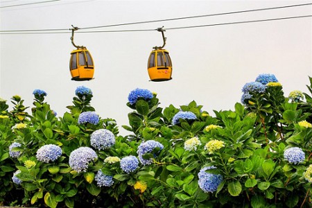 Du lịch Đà Nẵng- Bà Nà bốn mùa rực rỡ sắc hoa