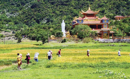 Du lịch Đà Nẵng khám phá Cù Lao Chàm- chùa Hải Tạng