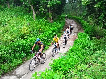 Tour xe đạp khám phá khu bảo tồn thiên nhiên Sơn Trà