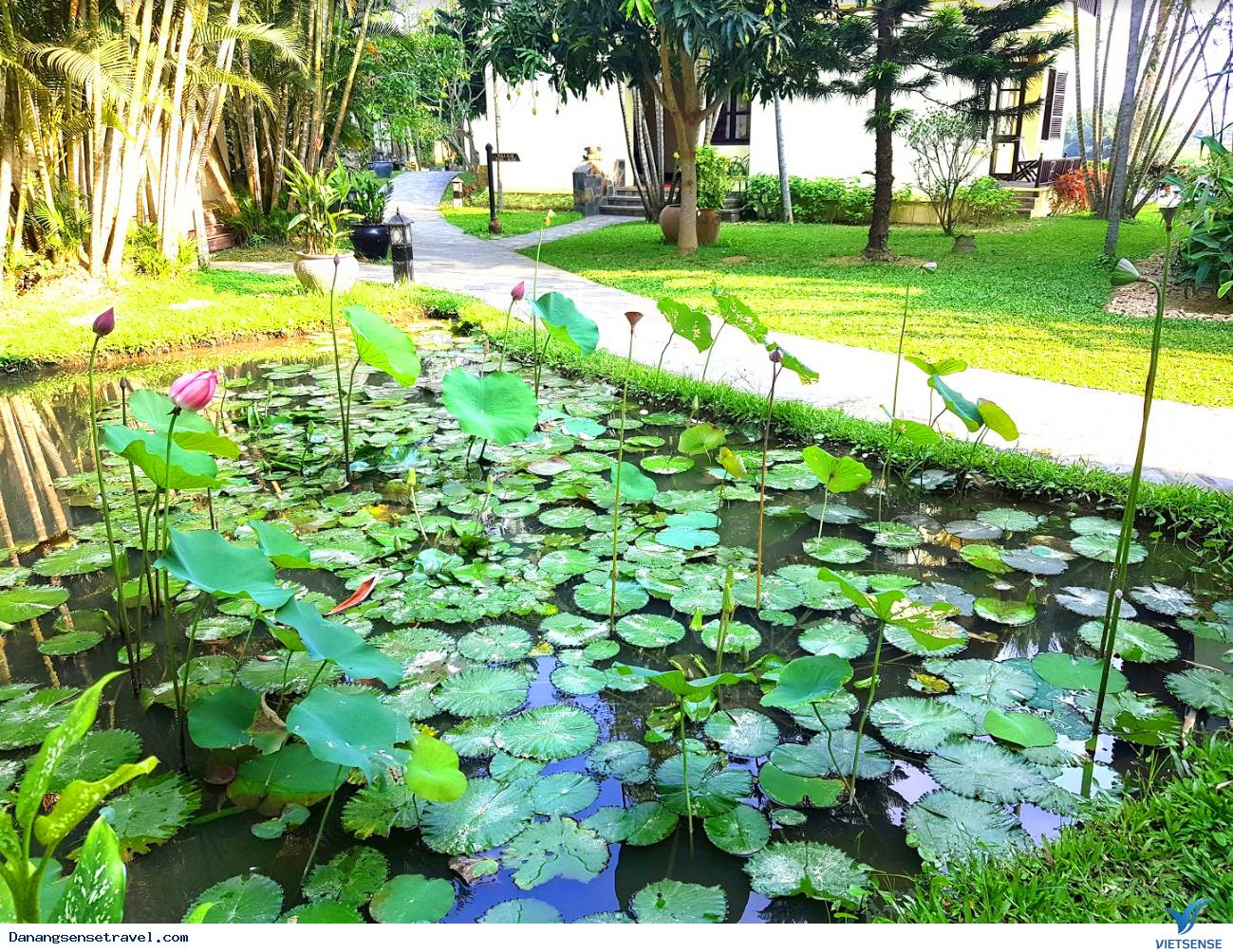 Khu nghỉ dưỡng 4 sao Hội An Riverside Resort & Spa, đậm tình màu sắc Việt