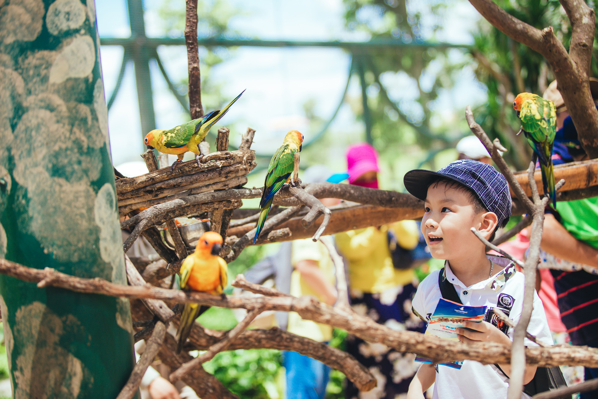 Những điểm check-in hấp dẫn giới trẻ ở Hội An - Ảnh 6 Những điểm check-in hấp dẫn giới trẻ ở Hội An - Ảnh 6
