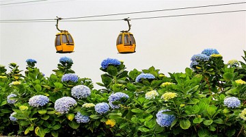 Du lịch Đà Nẵng- Bà Nà bốn mùa rực rỡ sắc hoa Du lịch Đà Nẵng- Bà Nà bốn mùa rực rỡ sắc hoa