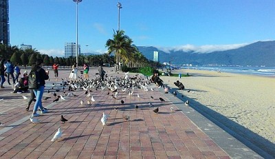Du lịch Đà Nẵng- Công Viên Biển Đông Du lịch Đà Nẵng- Công Viên Biển Đông