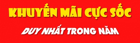 chương trình Đà Nẵng 4N/3Đ: Hồ Chí Minh - Đà Nẵng - Sơn Trà- Bà Nà- Cù Lao Chàm- Hội An
