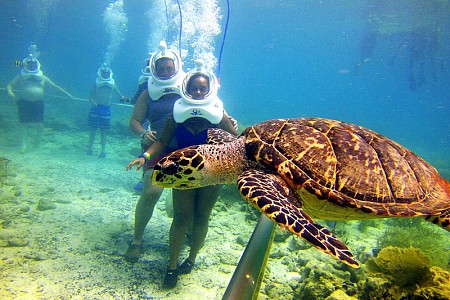 chương trình Đi Bộ Dưới Đáy Biển Cù Lao Chàm 1 Ngày