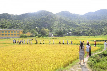 Đà Nẵng - Bà Nà - Ngũ Hành Sơn - Hội An - Cù Lao Chàm 3 Ngày 2 Đêm