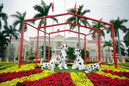 Đà Nẵng tô thêm sắc xuân đón Tết 2018