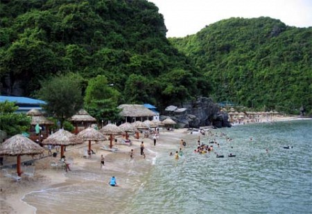 trải nghiệm Đà Nẵng - Đảo Hòn Chảo trải nghiệm Đà Nẵng - Đảo Hòn Chảo