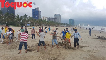 Hình ảnh đẹp – Đà Nẵng dọn dẹp lượng rác ‘’khủng’’ trên bờ biển