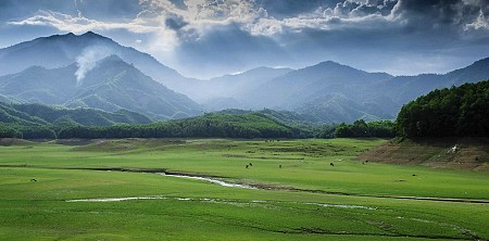 Hồ Hòa Trung – thảo nguyên xanh giữa lòng thành phố Đà Nẵng
