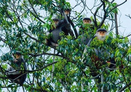 Khách Sạn Morin - Bà Nà Hills