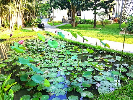 Khu nghỉ dưỡng 4 sao Hội An Riverside Resort & Spa, đậm tình màu sắc Việt