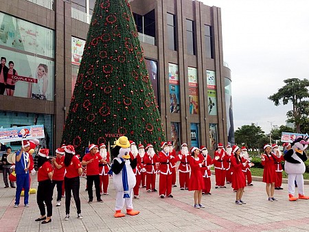 Rộn ràng mùa Giáng tại sinh Đà Nẵng