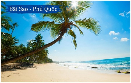 Tổng hợp lịch trình khởi hành Chương trình biển Đà Nẵng dịp lễ mùng 2 tháng 9