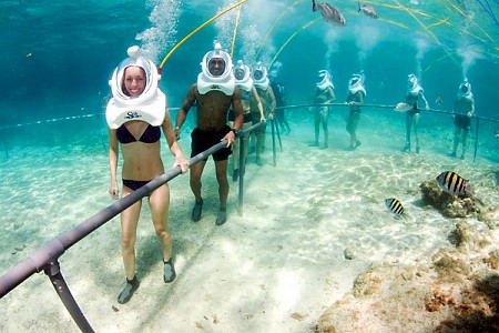 chương trình Đi Bộ Dưới Đáy Biển Cù Lao Chàm 1 Ngày