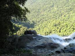 Hành Trình 2 Ngày: Đà Nẵng  - Vườn Quốc Gia Bạch Mã