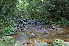 Hành Trình 2 Ngày: Đà Nẵng  - Vườn Quốc Gia Bạch Mã