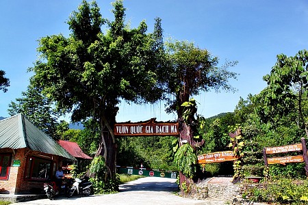 Hành Trình 2 Ngày: Đà Nẵng  - Vườn Quốc Gia Bạch Mã Hành Trình 2 Ngày: Đà Nẵng  - Vườn Quốc Gia Bạch Mã