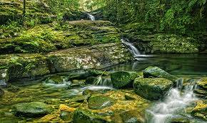 Hành Trình 2 Ngày: Đà Nẵng  - Vườn Quốc Gia Bạch Mã