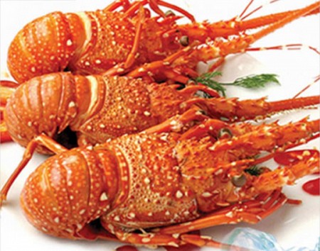 DN31: Hành Trình 3 Ngày 2 Đêm-Chào Mừng Quốc Khánh 2-9