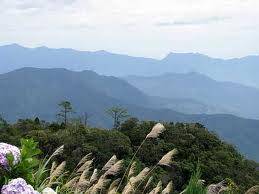 Bán Đảo Sơn Trà  - Bà Nà – Ngũ Hành Sơn – Phố Cổ Hội An