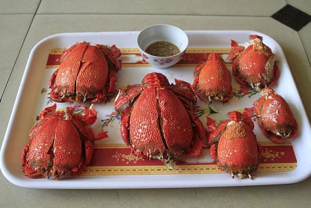 Hành Trình 4N3Đ – Chào Mừng Quốc Khánh Mùng 2 Tháng 9