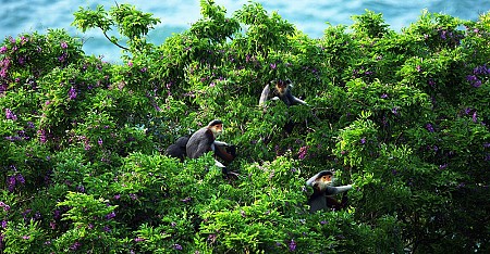 VDN56. Khuyến Mãi Khủng HCM/HN - Đà Nẵng - Huế - Quảng Bình - Động Phong Nha 5 Ngày 4 Đêm