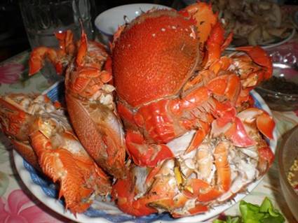 HDN425:chương trình Hà Nôi- Đà Nẵng- Bà Nà- Hội An- 4N3Đ