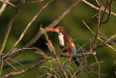 Chương trình Huế - Vườn Quốc Gia Bạch Mã 1 Ngày