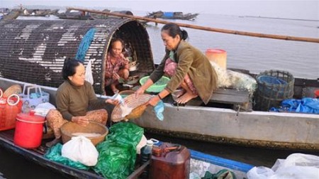 Thăm quan Làng Cổ Phước Tích - Làng Ngư Mỹ Hạnh