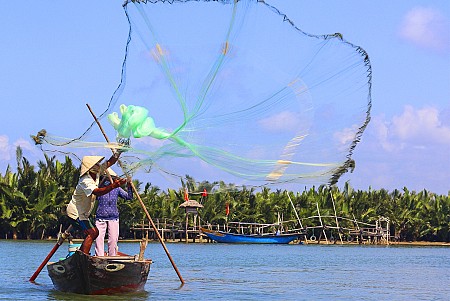 Chương trình Rừng Dừa Bảy Mẫu 1 ngày