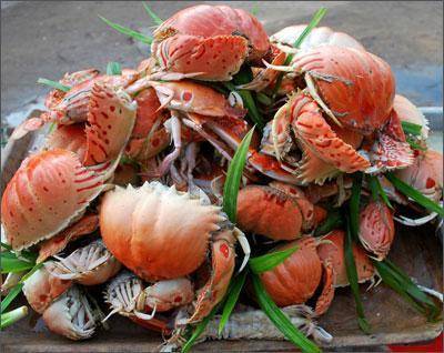 KMHCM41: chương trình HCM - Đà Nẵng– Bà Nà- Hội An 4N3Đ. Siêu Khuyến Mãi tháng 8/2016