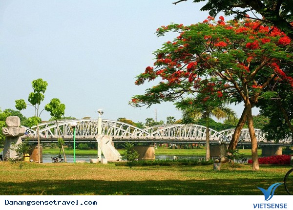 Rực rỡ sắc màu mùa hạ Xứ Huế - Ảnh 1