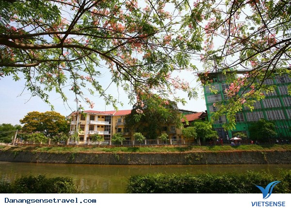 Rực rỡ sắc màu mùa hạ Xứ Huế - Ảnh 8