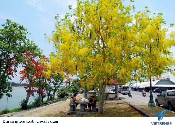 Rực rỡ sắc màu mùa hạ Xứ Huế - Ảnh 4