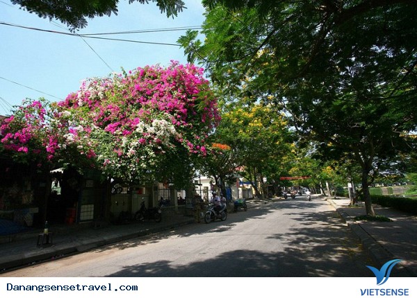 Rực rỡ sắc màu mùa hạ Xứ Huế - Ảnh 5