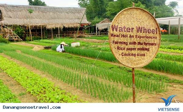 Trải nghiệm vẻ đẹp yên bình 1 ngày nơi Phố Hội - Ảnh 3 Trải nghiệm vẻ đẹp yên bình 1 ngày nơi Phố Hội - Ảnh 3