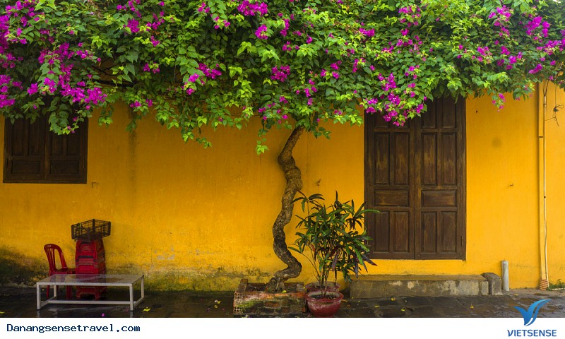 Chụp ảnh với bức tường được chụp ảnh nhiều nhất Hội An Chụp ảnh với bức tường được chụp ảnh nhiều nhất Hội An