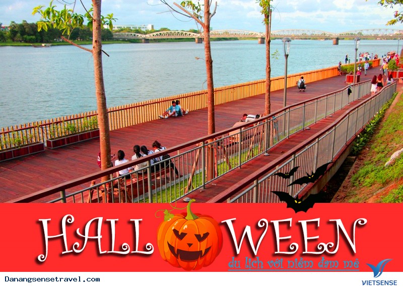 Con đường gỗ lim bạc tỷ ở Huế - Ảnh 3