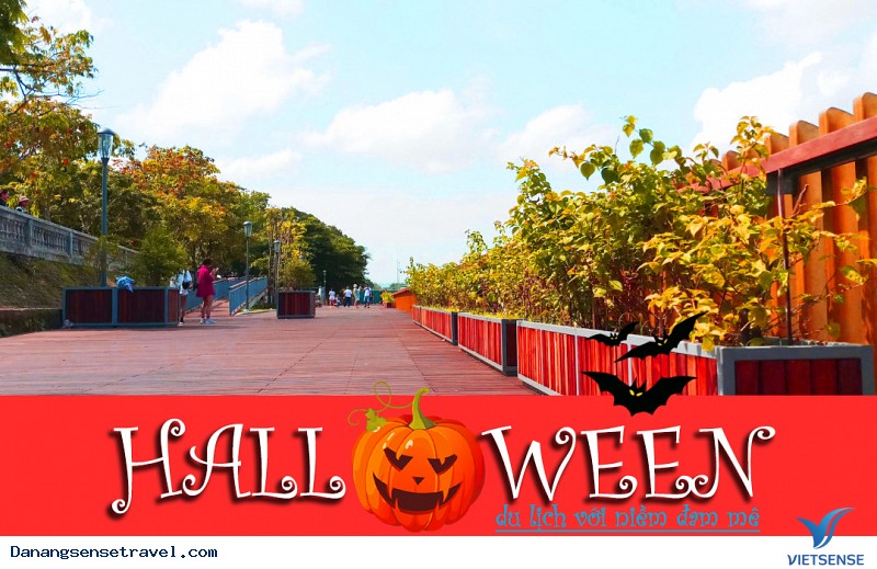 Con đường gỗ lim bạc tỷ ở Huế - Ảnh 2