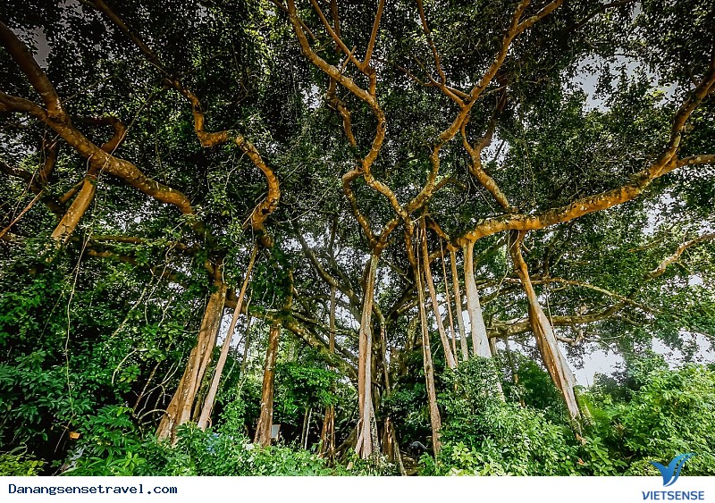 Khám Phá Những Điểm Check In Ấn Tượng Trên Cung Đường Tới Bán Đảo Sơn Trà - Ảnh 5 Khám Phá Những Điểm Check In Ấn Tượng Trên Cung Đường Tới Bán Đảo Sơn Trà - Ảnh 5