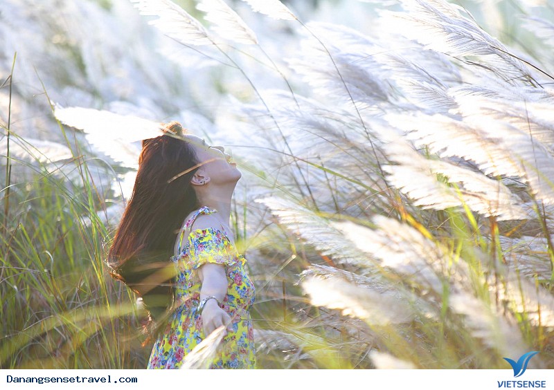 Mùa Cỏ Lau - Ảnh 2