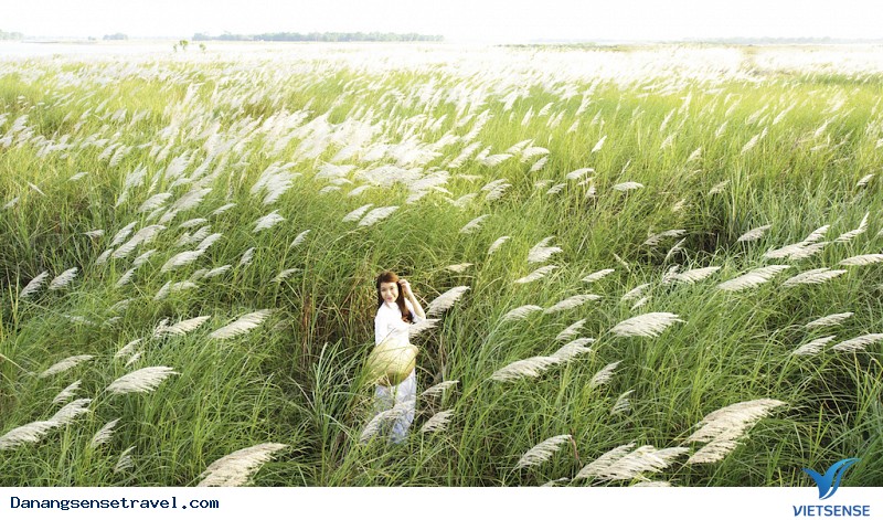 Mùa Cỏ Lau - Ảnh 4