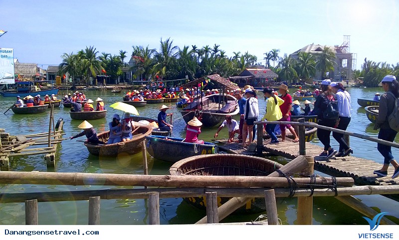 Rừng Dừa Bảy Mẫu - Ảnh 1