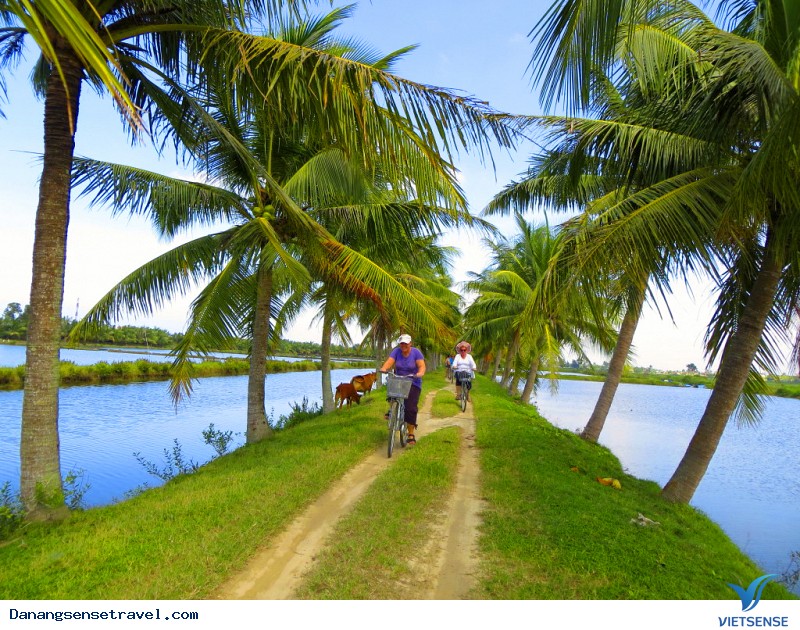 Chương trình Rừng Dừa Bảy Mẫu 1 ngày - Ảnh 7