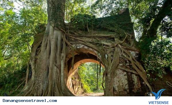 30 điểm thăm quan thú vị tại Đà Nẵng - Ảnh 10 30 điểm thăm quan thú vị tại Đà Nẵng - Ảnh 10