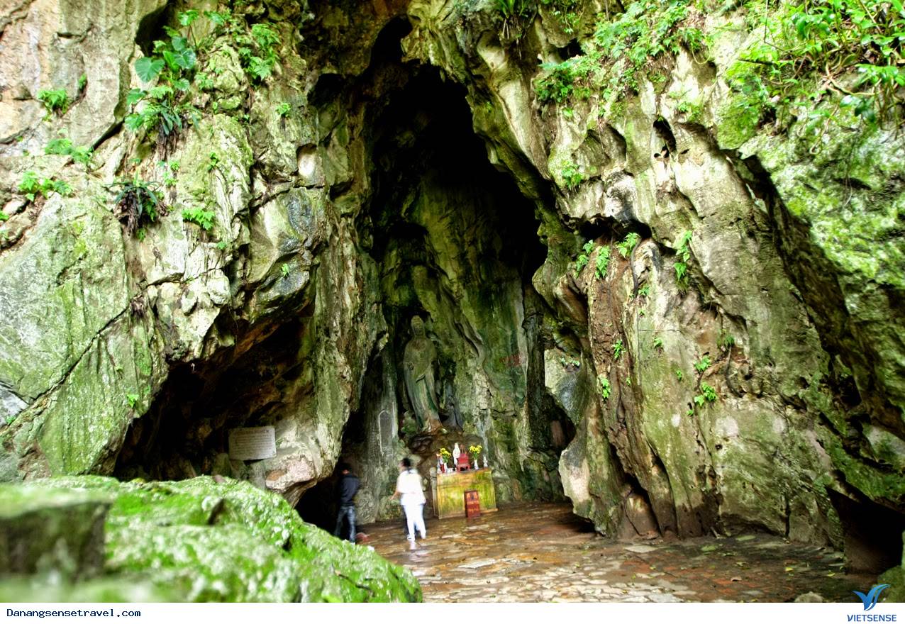 7 cây di sản trên núi Ngũ Hành Sơn - Ảnh 5