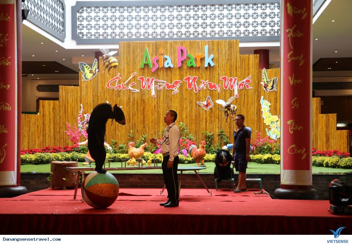Asia Park điểm đến hút khách đầu xuân - Ảnh 4 Asia Park điểm đến hút khách đầu xuân - Ảnh 4