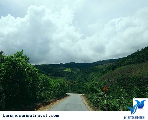 Ba Địa điểm thăm quan Hoang Sơ, Mới Lạ Gần Đà Nẵng - Ảnh 3 Ba Địa điểm thăm quan Hoang Sơ, Mới Lạ Gần Đà Nẵng - Ảnh 3