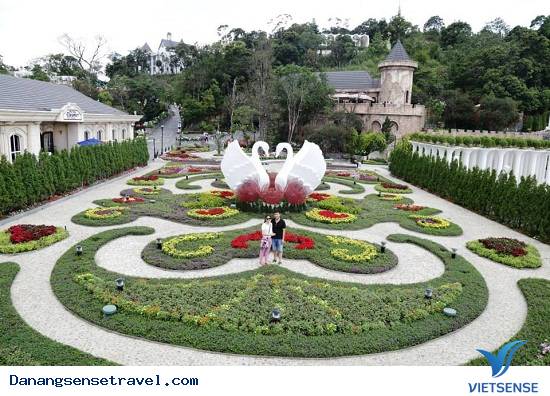 du lịch đà nẵng, hoa Bà Nà